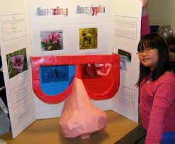 science fair project