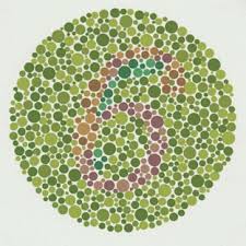 Ishihara Color Test.