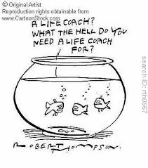 goldfish bowl pictures