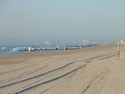 Inky/Philly Daily News Jersey