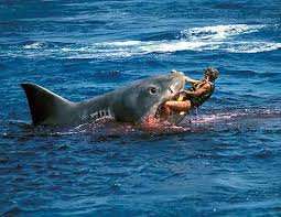 15 of the Worst Shark Attacks