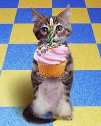 birthday-1.jpg&t=1