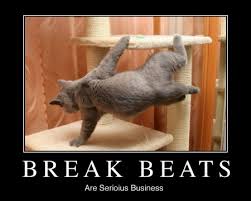 dance cat