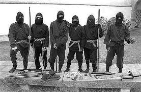 ninja pictures