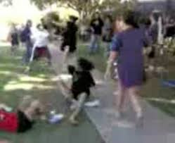 school fights