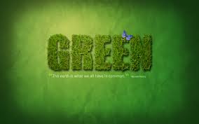 http://t1.gstatic.com/images?q=tbn:y1v1Bak7q9A9tM:http://justwallpaper.files.wordpress.com/2008/11/green-1280x800.jpg