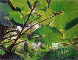 plant2