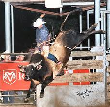 pbr bull riders