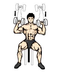 dumbbell press