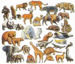 wild animals