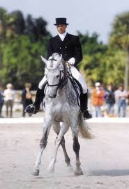 Virginia Dressage Association