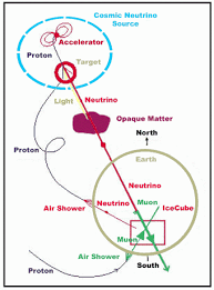 come from how neutrinos