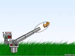 Kitten Cannon Kitten Cannon