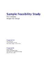 feasibility study example