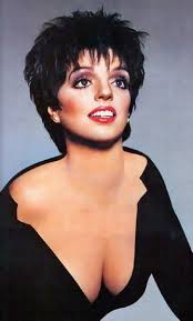 read more about Liza Minnelli