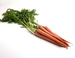 carrots love carrots