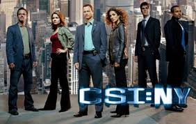 Okay, so CSI: NY the videogame