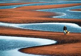 Photo: Prince Edward Island