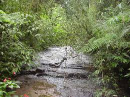 Ver imagem em tamanho grande