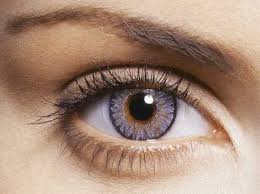 eye