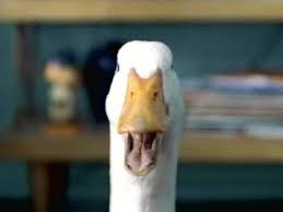 NEWS BUSINESS AFLAC