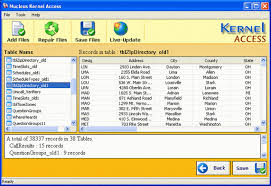 Microsoft Access files.