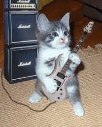 Kittens Playing Guitar