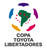 C2: Libertadores-league