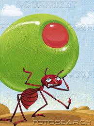 النمل يتكلم ويثرثر داخل وكره ............ Antolive