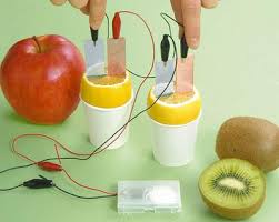 fruit battery