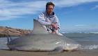 Shark Fishing Handbook - TEXAS SHARK FISHING