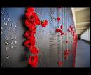 ANZAC Day Garden of Rememberance - 7BU