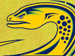 Paramatter Eels - NRL Wallpaper (29425554) - Fanpop fanclubs