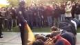 UC DAVIS LAUNCHES PROBE AFTER PEPPER SPRAY VIDEO - Timesonline.com ...