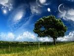 Ramblings of an Undiagnosed Mad Woman: Music Monday: Dream Weaver