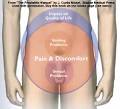 <b>Prostatitis</b> is a common cause