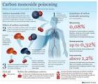 <b>Carbon monoxide poisoning</b>