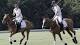 Top Stories - Google News: Prince William plays in charity polo match - BBC News