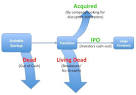 Startup lifecycle in an IPO