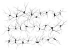 neurons | LI Yan Yee | fridayfonts
