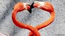 BBC News - Cupid's algorithm: Do dating sites know love's formula?