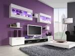 Wonderful Purple Living Room Themes Color Ideas | Interior Design ...