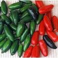 SERRANO Hot Pepper Plant - Garden Harvest Supply Inc