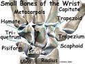 At the same time, the <b>wrist</b>