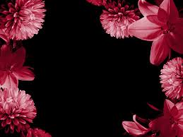 pink flowers Images?q=tbn:ANd9GcQKCDON2xBRtFCbjyn2A3_8Ep2AtvicUbG3s1Jwa7nEur1b7_2-