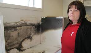 BLAZE: Brenda Bushell of the Papakura YMCA Early Learning Centre with part of the shelving burnt in the fire. - 8007164