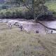 Bogotano de 19 años pierde la vida en un río de Oiba, Santander - Caracol Radio