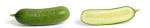 CUCUMBER_and_cross_section.jpg