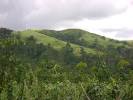 Banjarmasin Photos - Featured Images of Banjarmasin, South ...