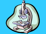 <b>BACTERIOLOGY</b> AND